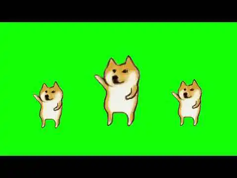 Funny Dog Dance Meme Green Screen