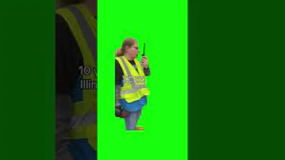 Gail Lewis original meme Green screen