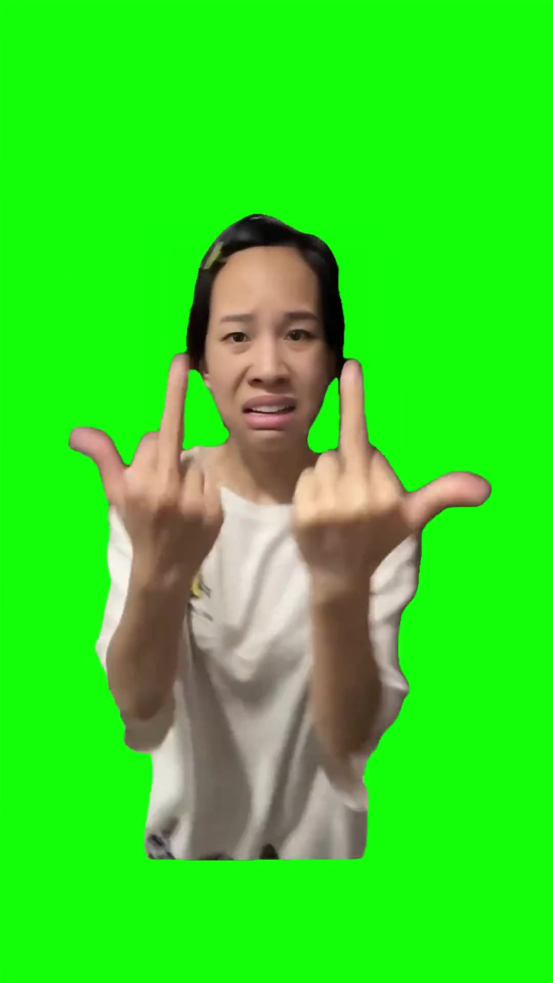 Gata only fingers Green Screen Meme