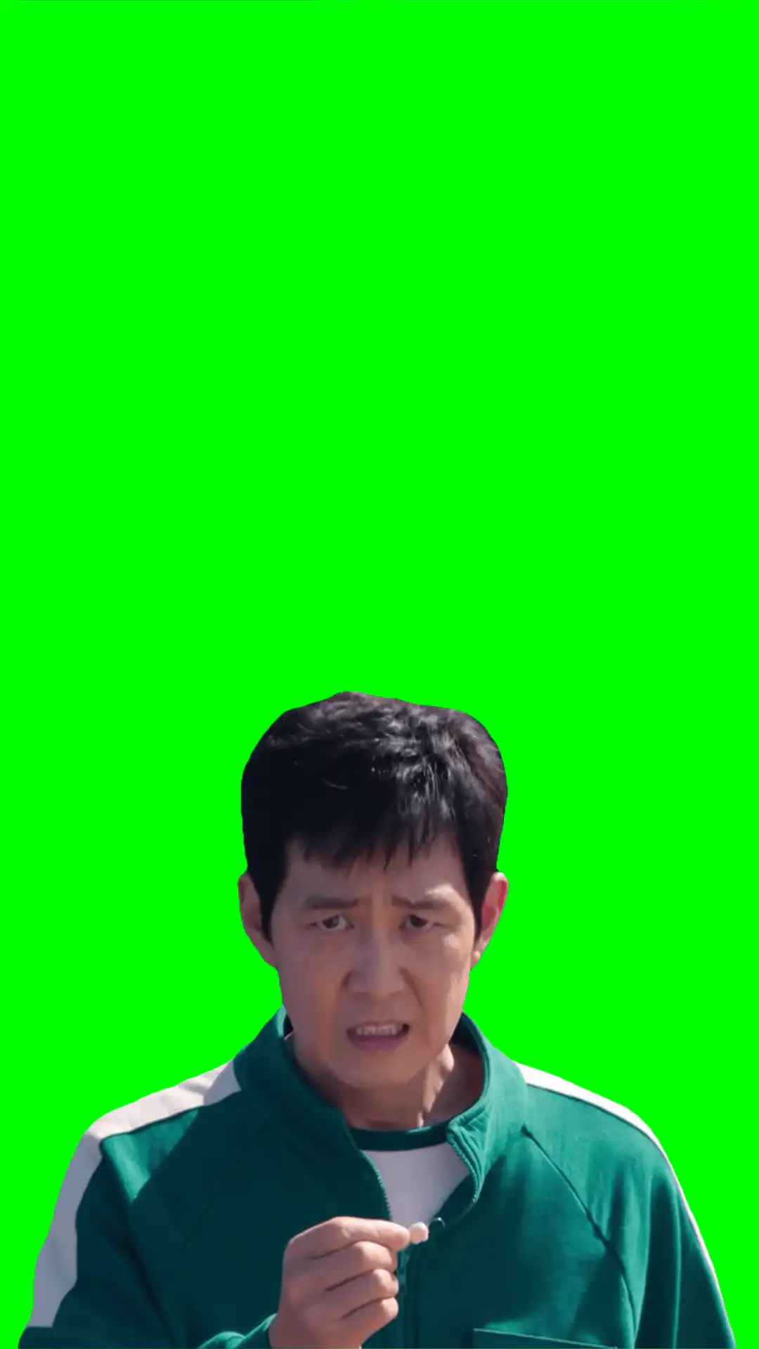 Gi Hun Camera zoom green screen