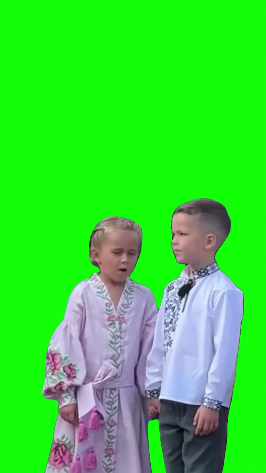 Girl arguing with boy Green Screen Meme