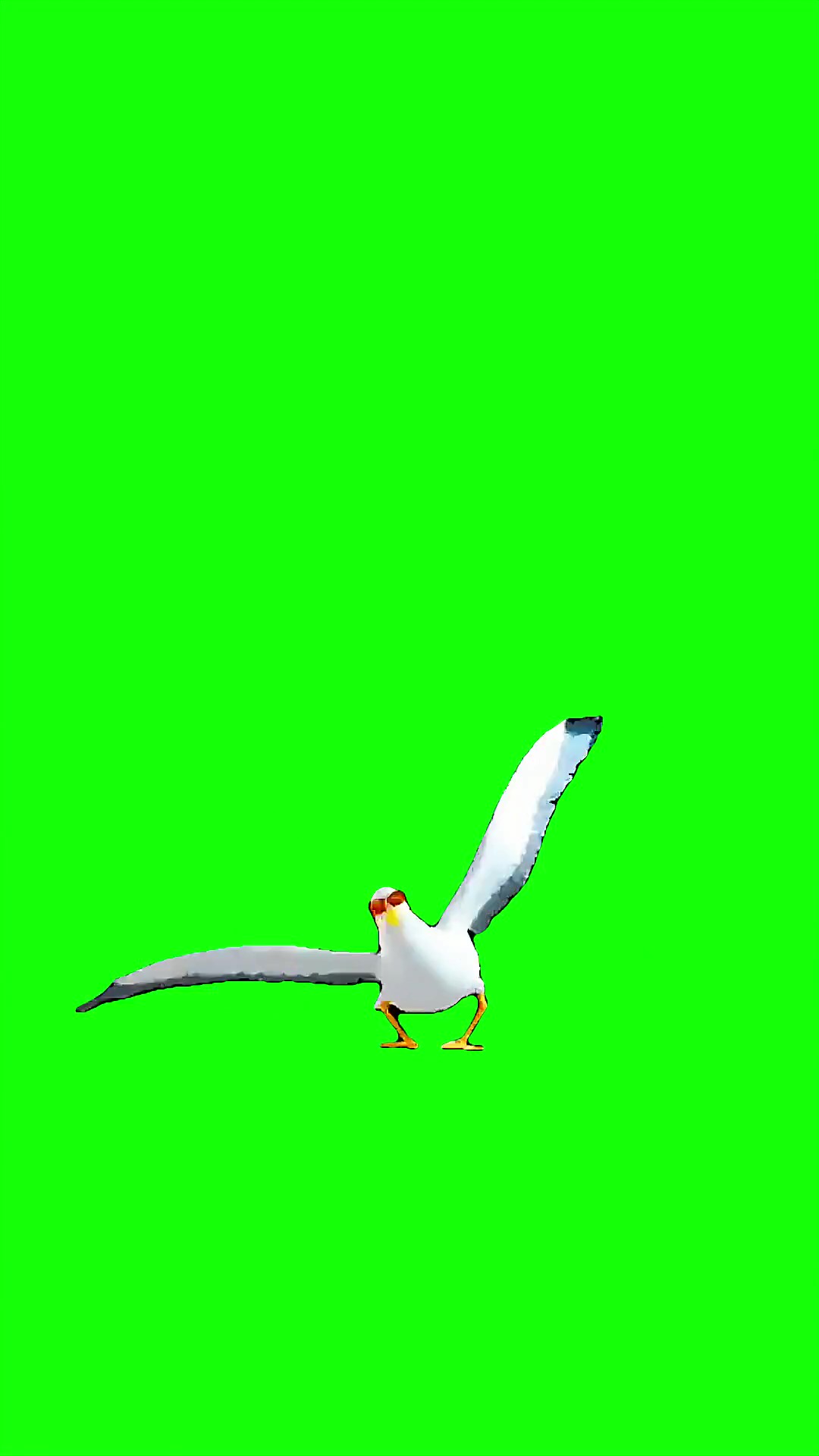 Gmod seagull dancing meme Green Screen