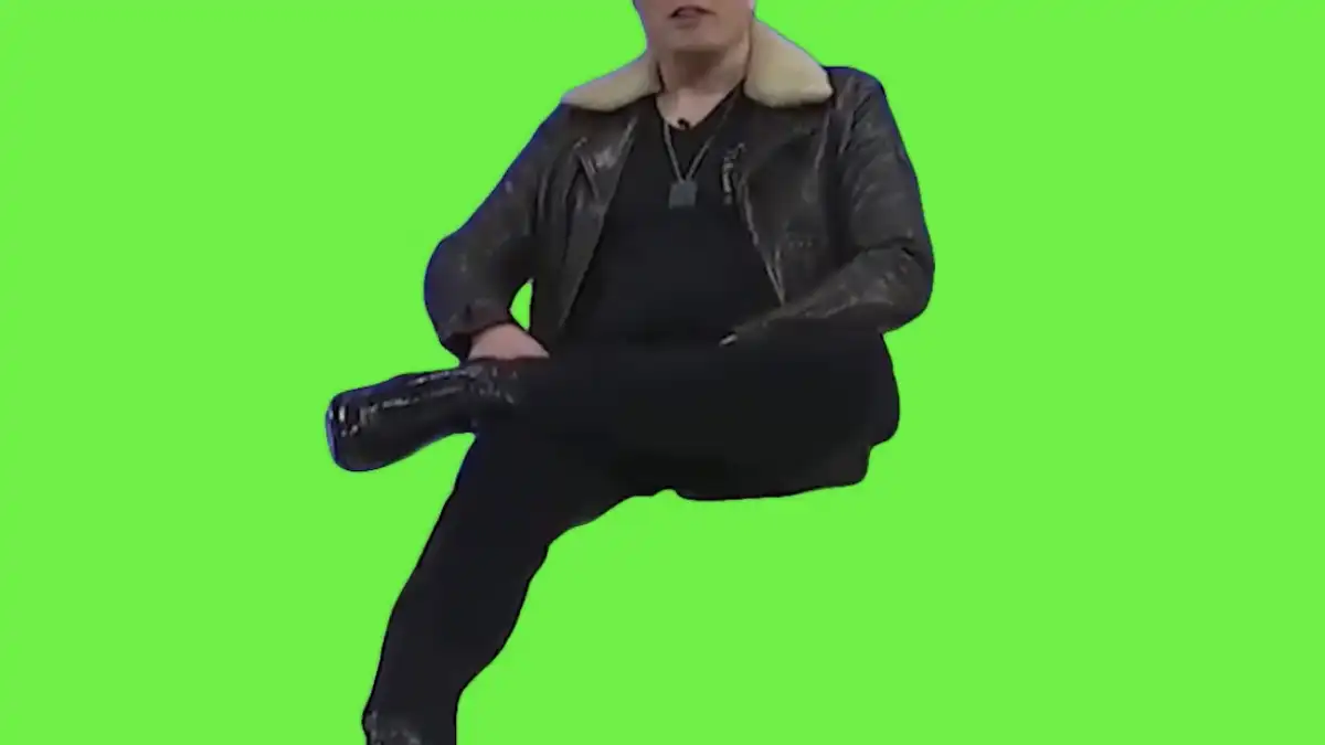 Go fuck yourself elon musk green screen