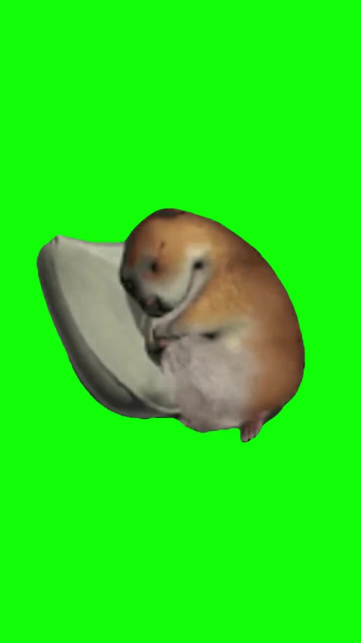 Go To Sleep Green Screen