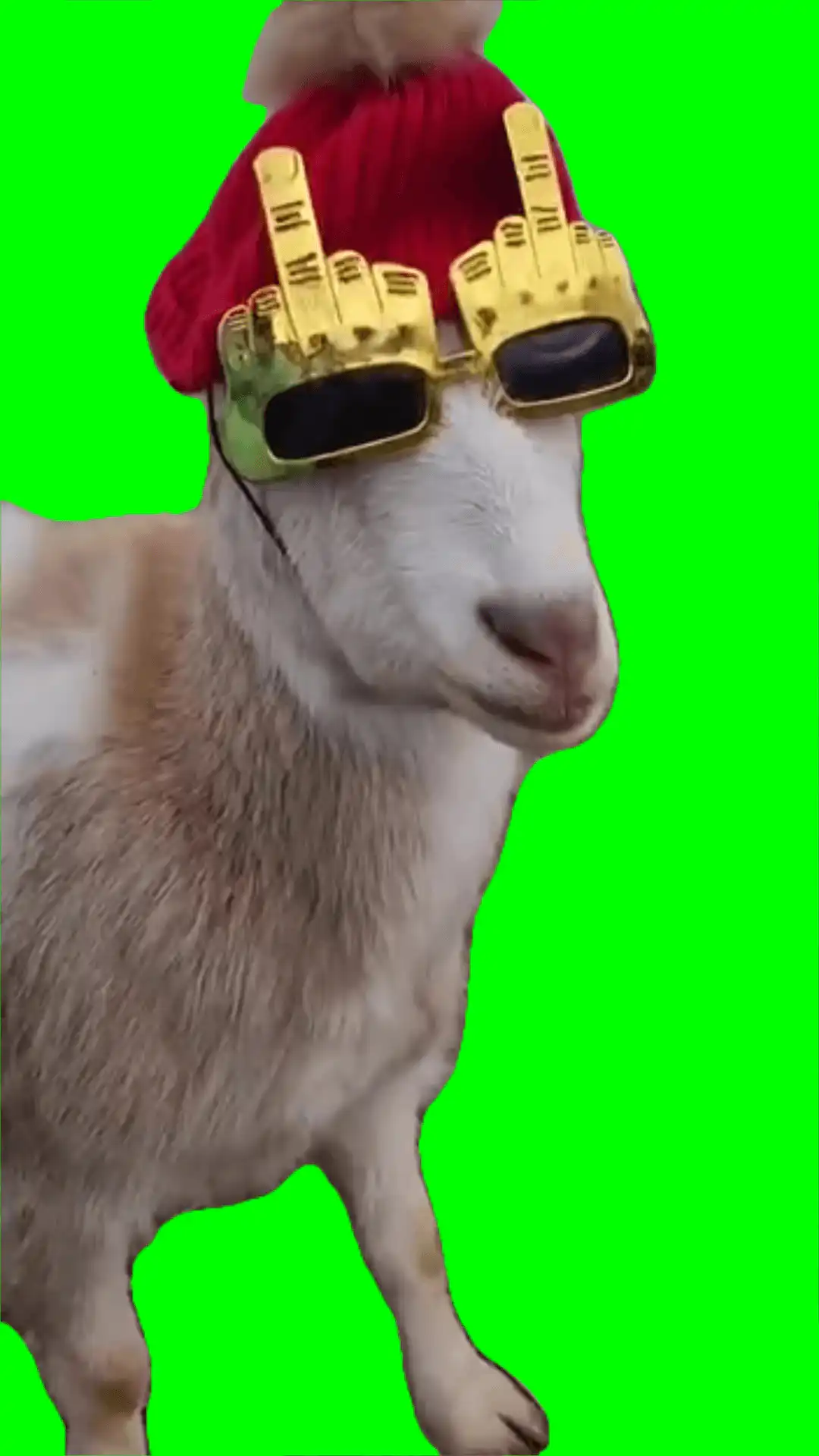 Goat doesn’t give a Fk meme green screen