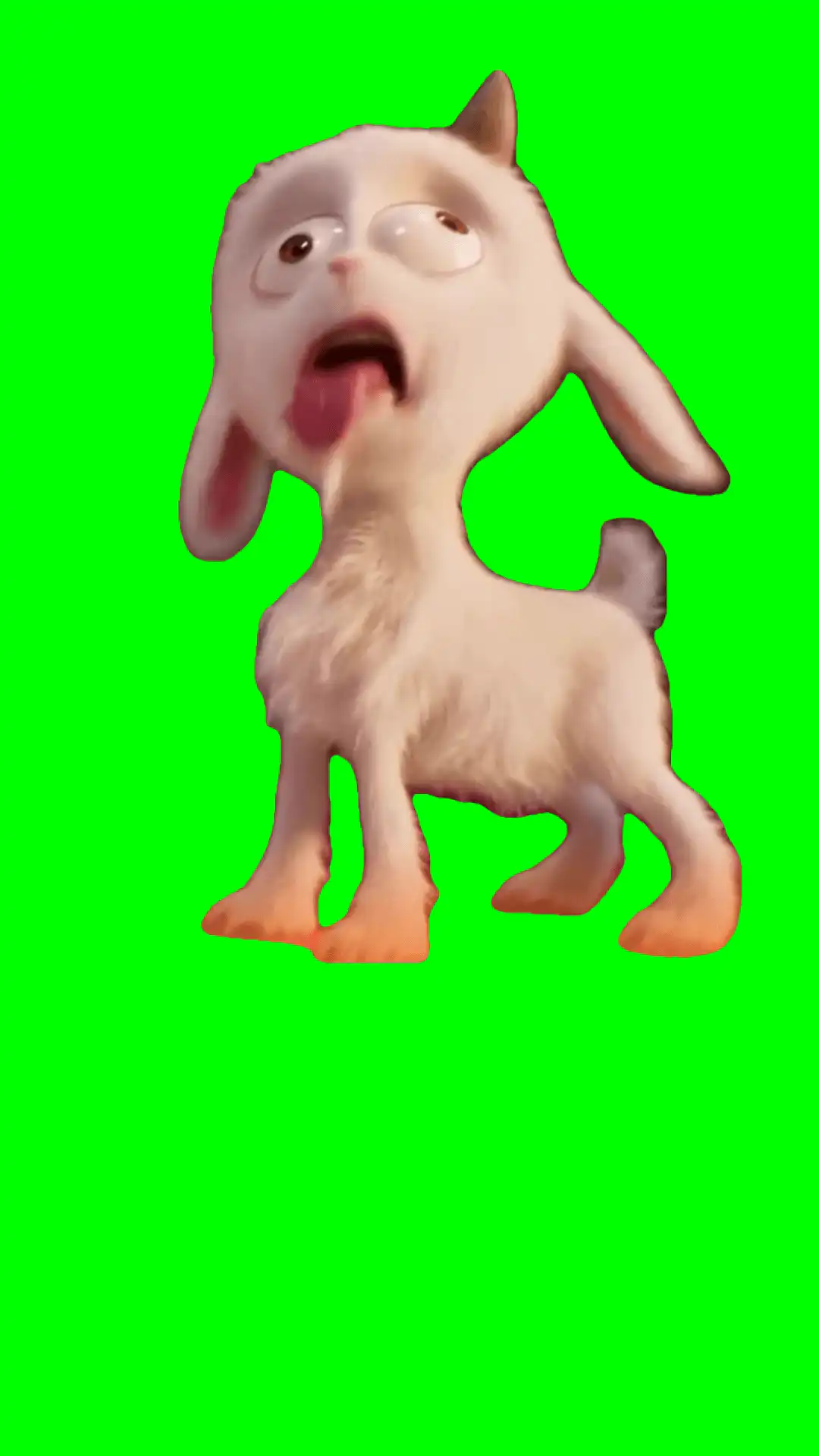 Goat pretending to die meme green screen