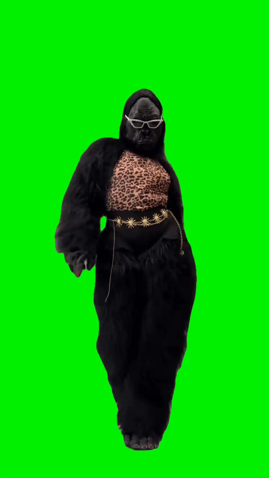 Gorilla dancing green screen