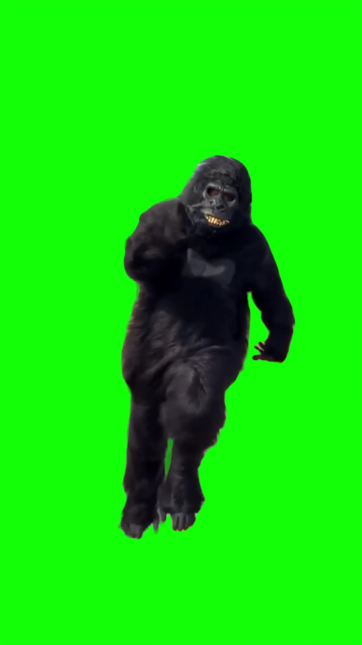 Gorilla Running meme Green Screen