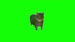 Green Screen Spinning Cat Meme