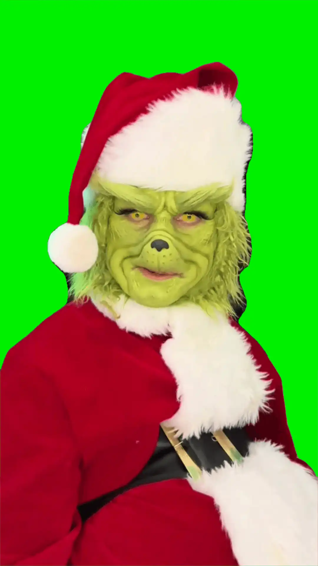 Grinch, did you miss me meme green screen
