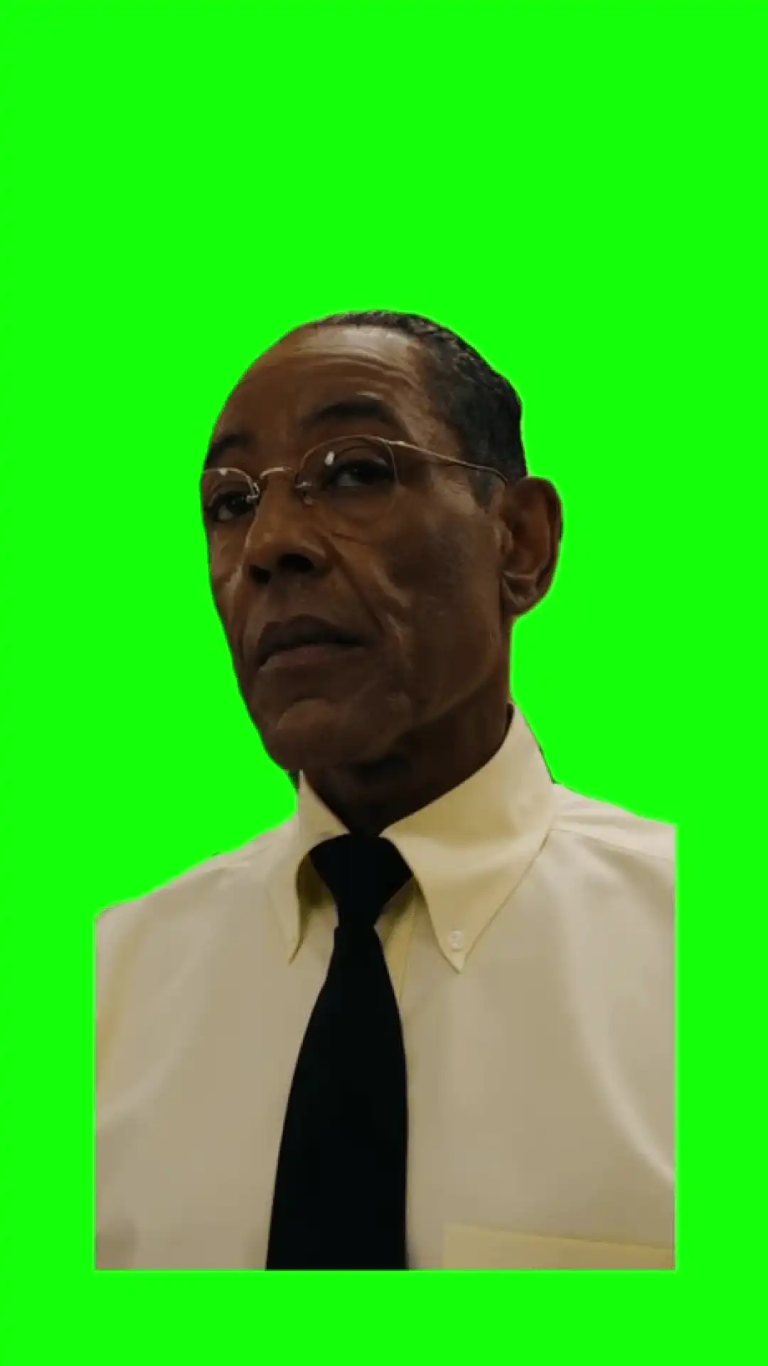 Gus staring meme green screen