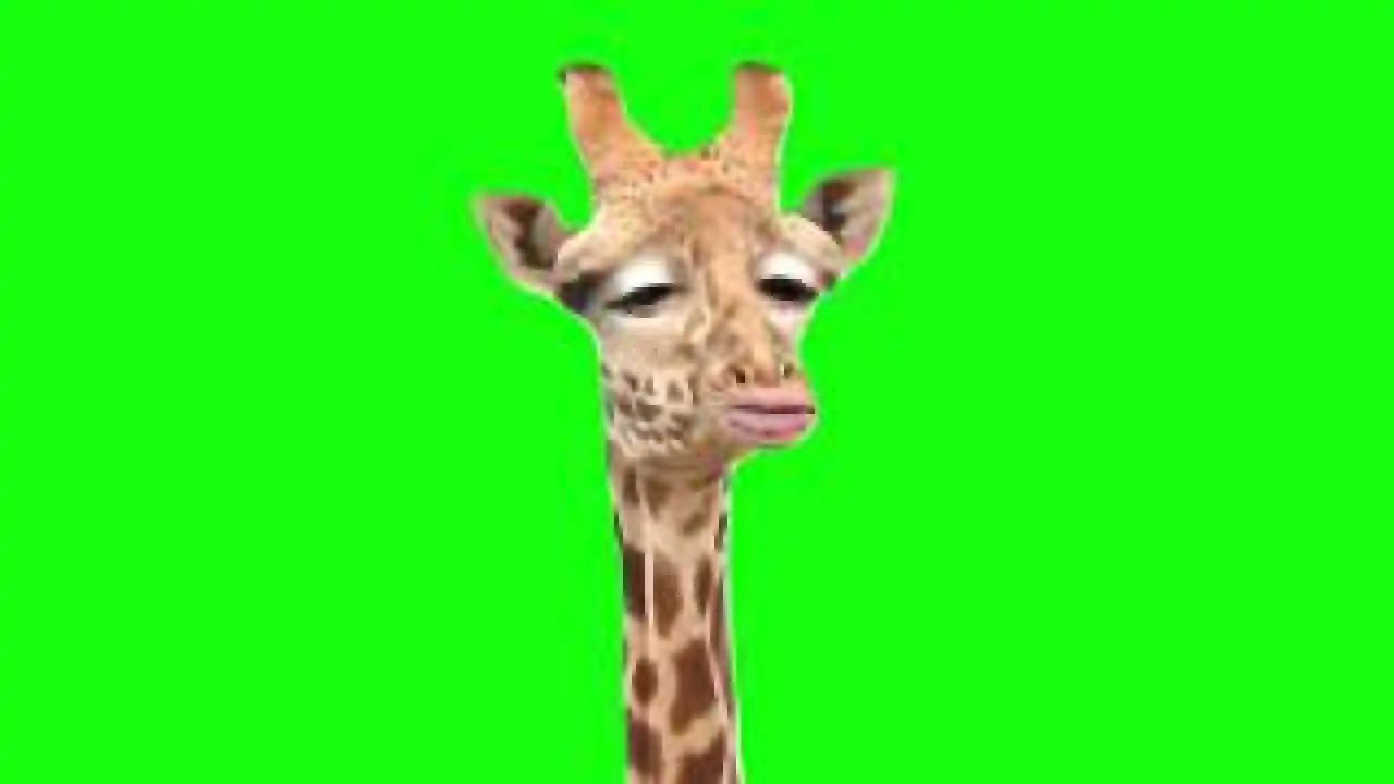 Guten Morgen meme Green Screen