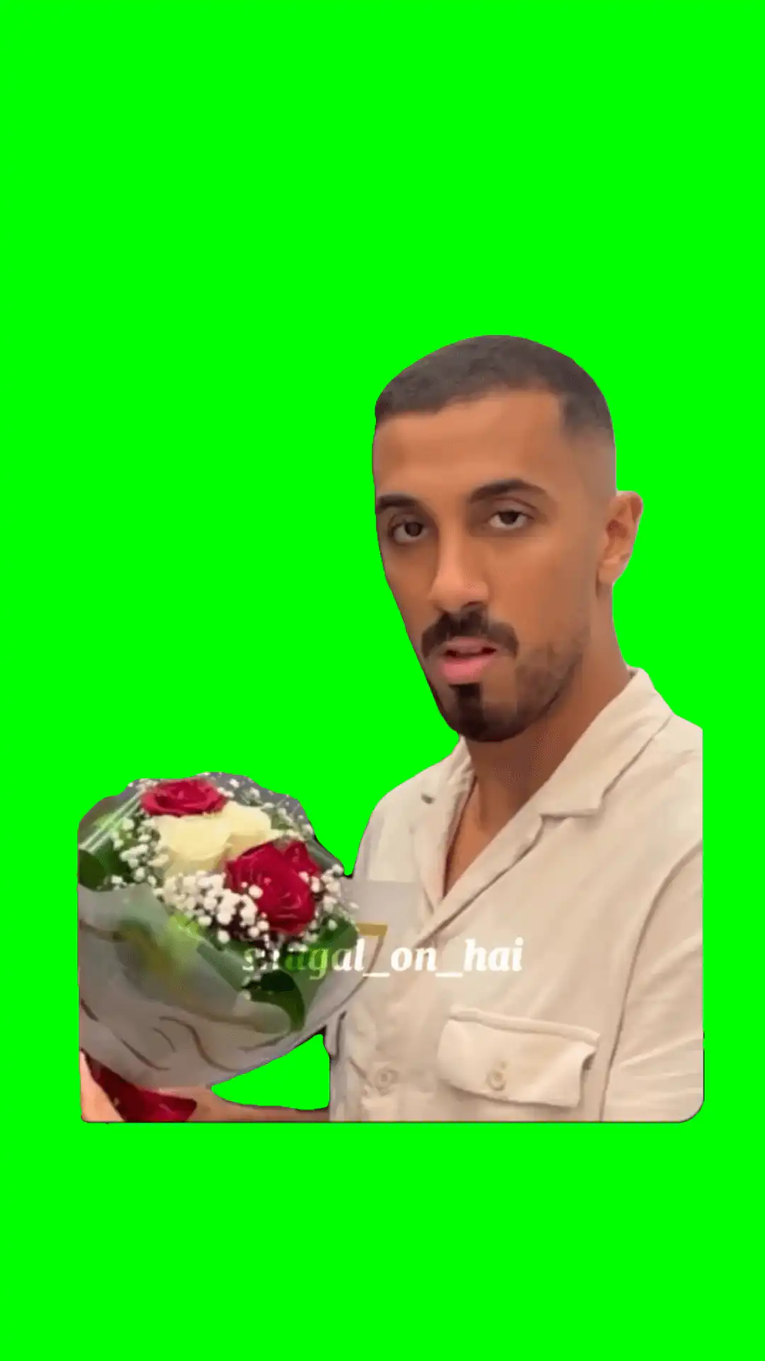 Guy pulls out flowers Meme Green Screen