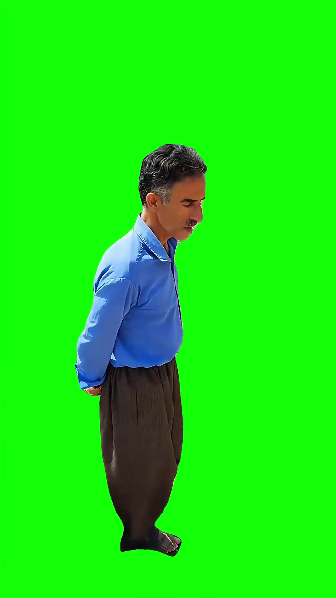 Guy singing phone ring meme Green Screen
