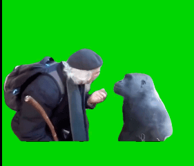 Guy Talking With Monkey