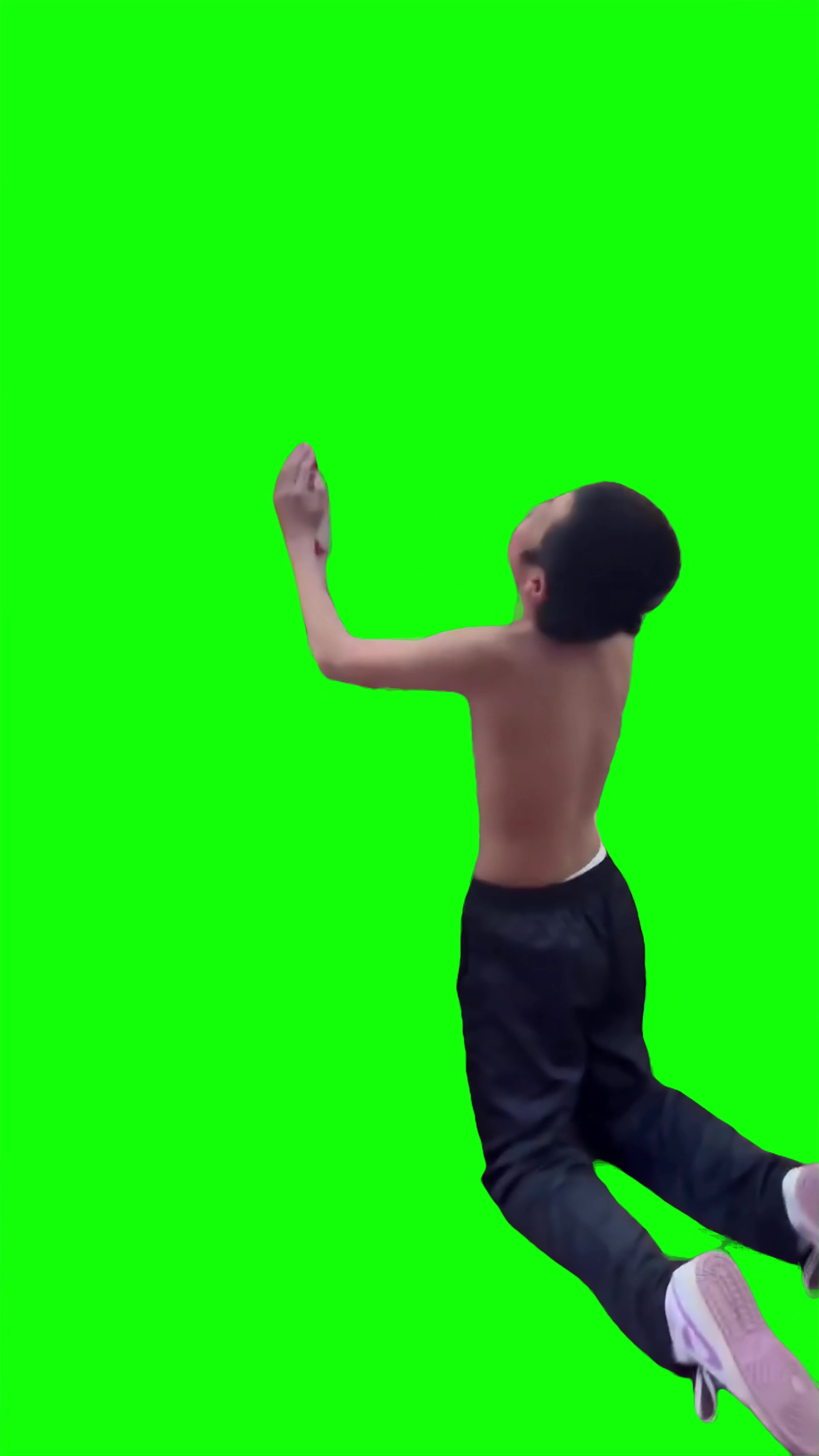 Guy whining meme Green Screen