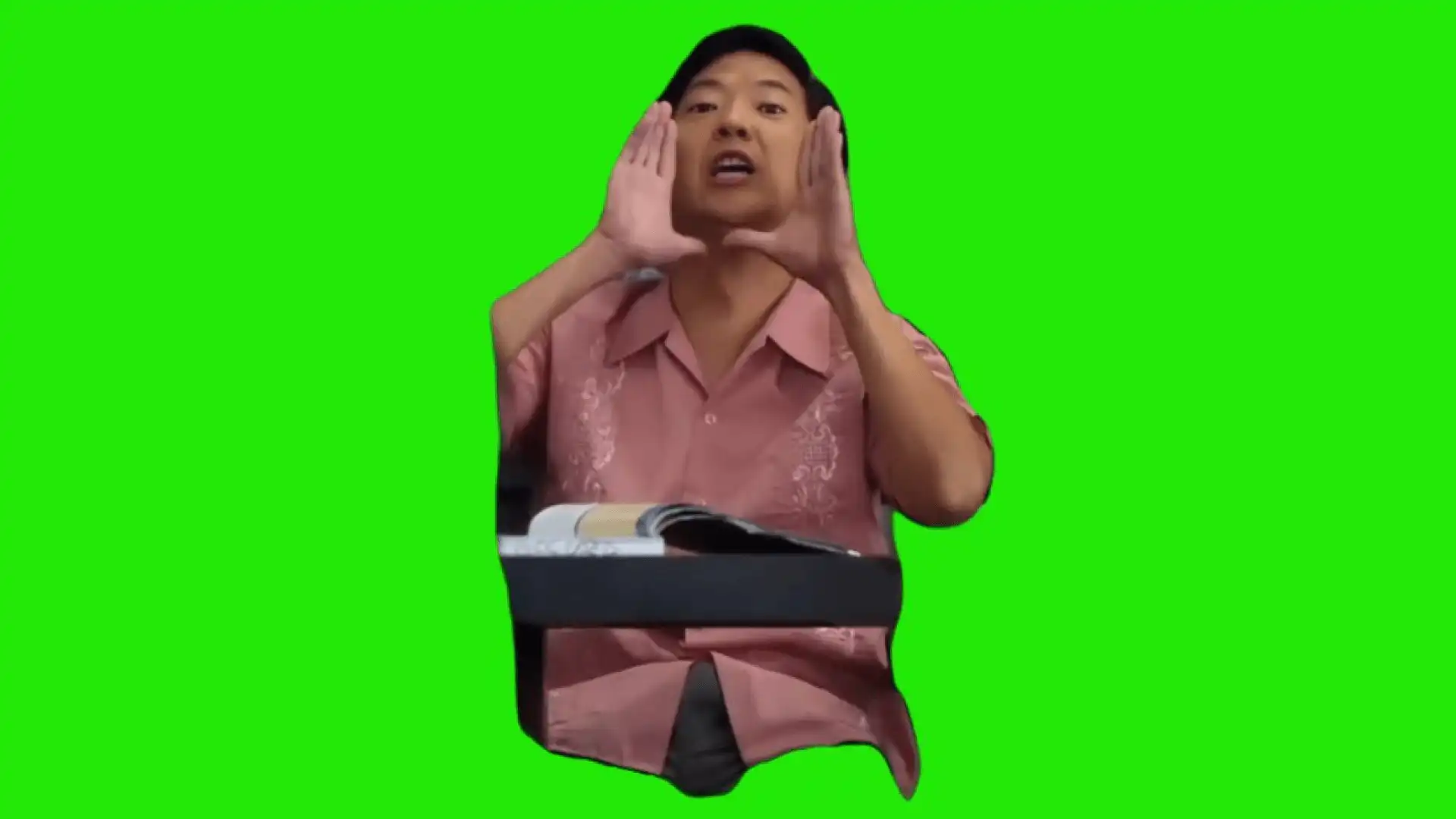 Ha Gayyyyy Green Screen