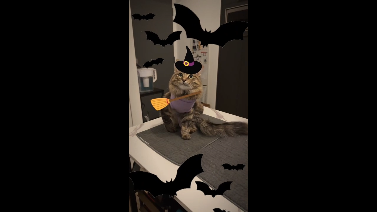 Halloween Funny Memes