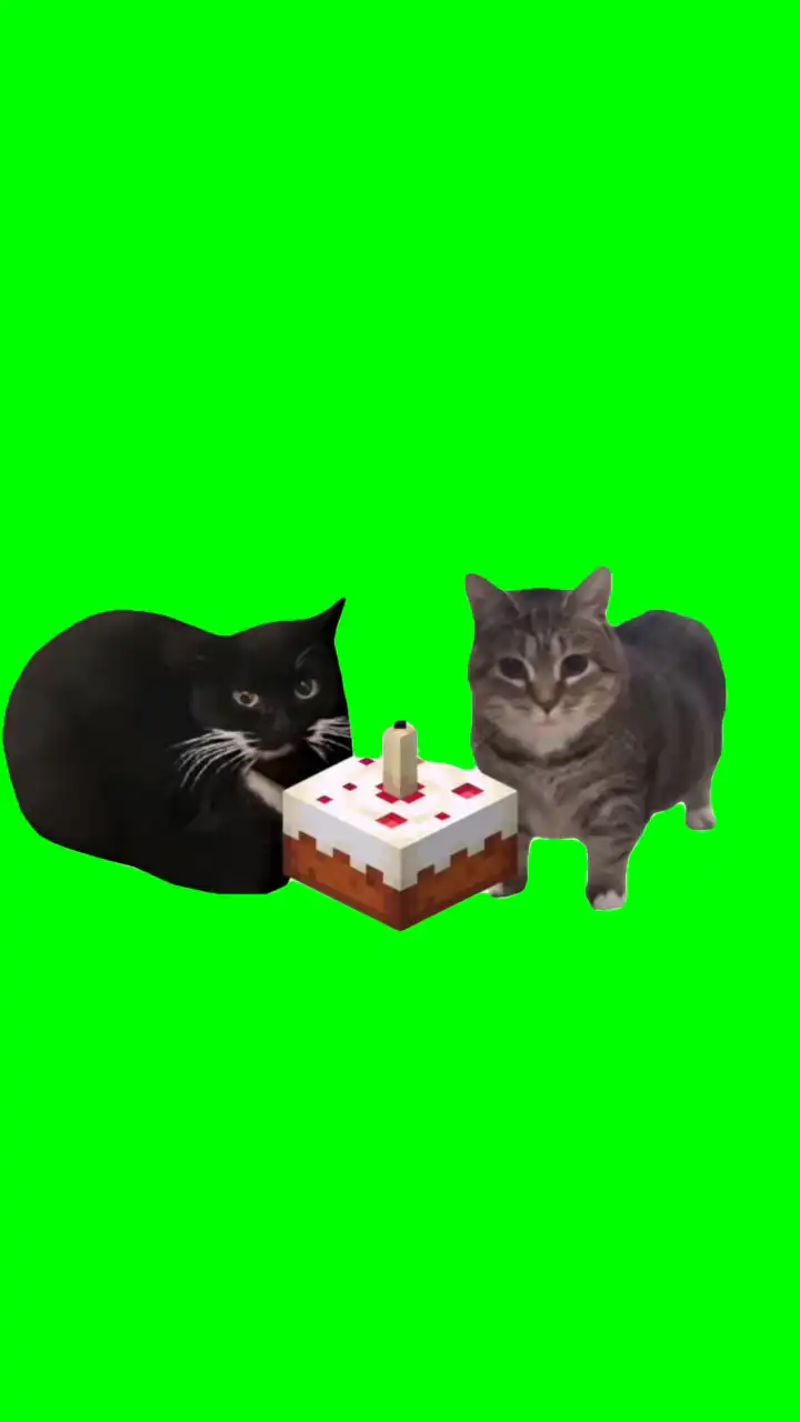 Happy Birthday ooiiaaa cats maxwell and fatehel Meme Green Screen