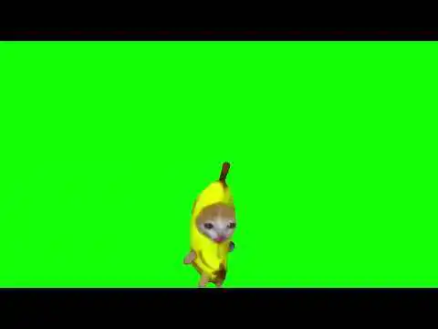 Happy Cat Green Screen