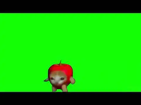 Happy Happy Happy Cat Meme Green Screen
