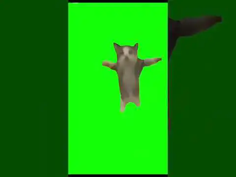 Happy happy happy green screen