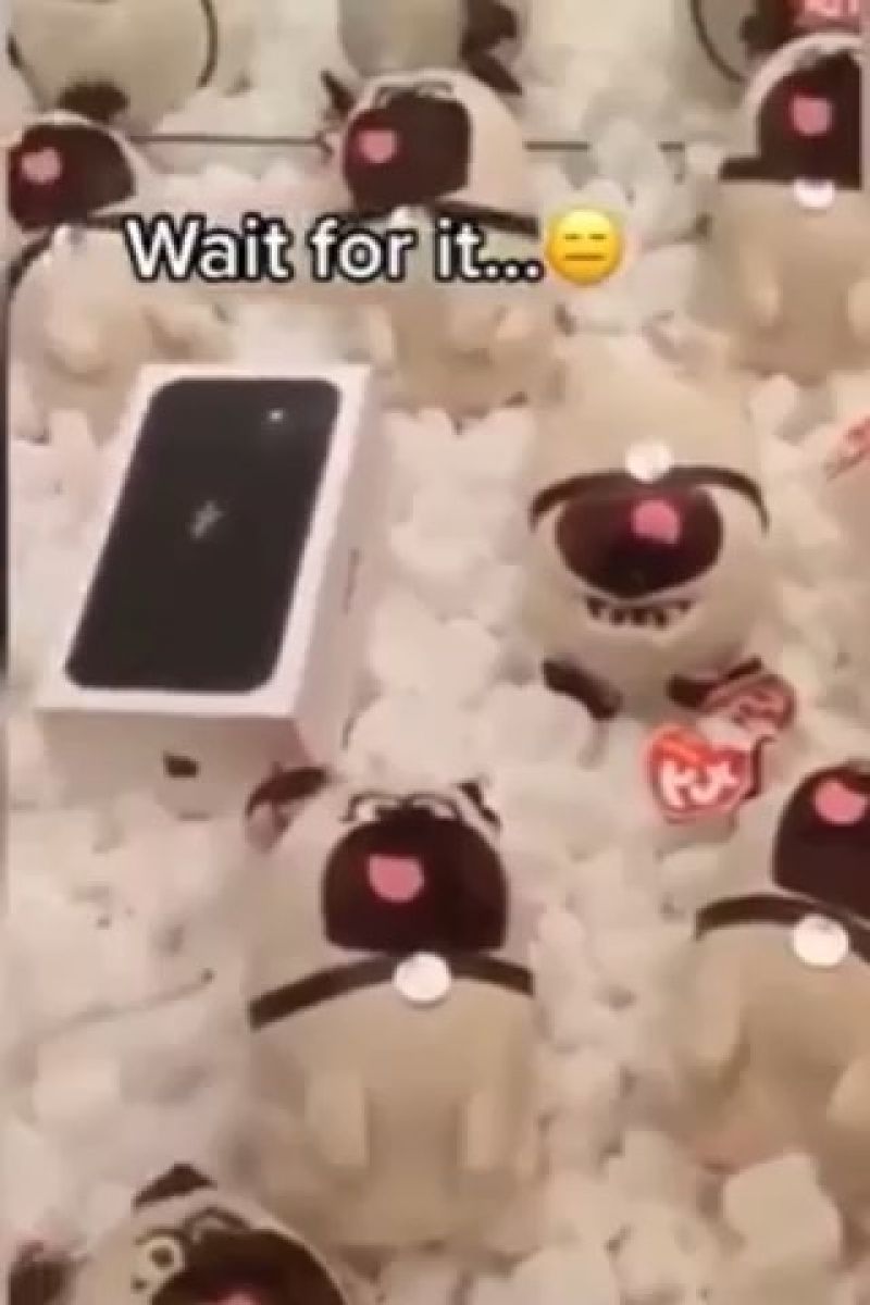 Harry Potter Indian Theme Meme | Funny Indian theme memes ringtone