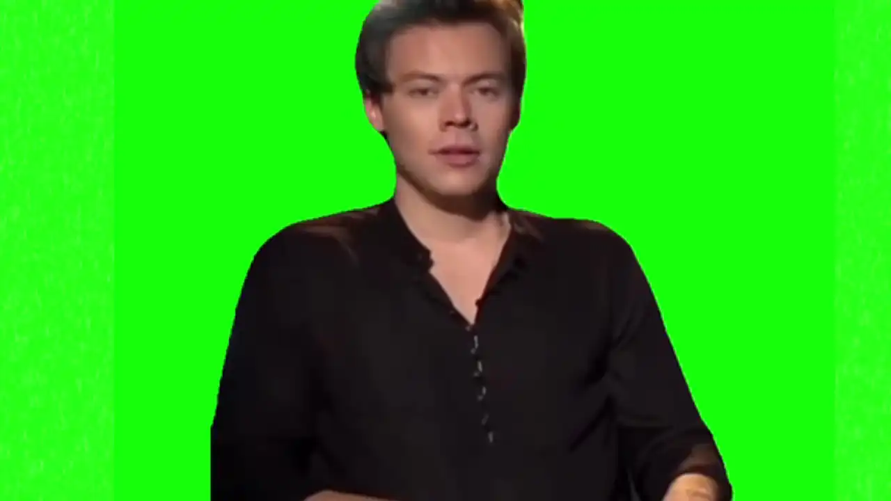 Harry styles I mean I don’t know meme green screen