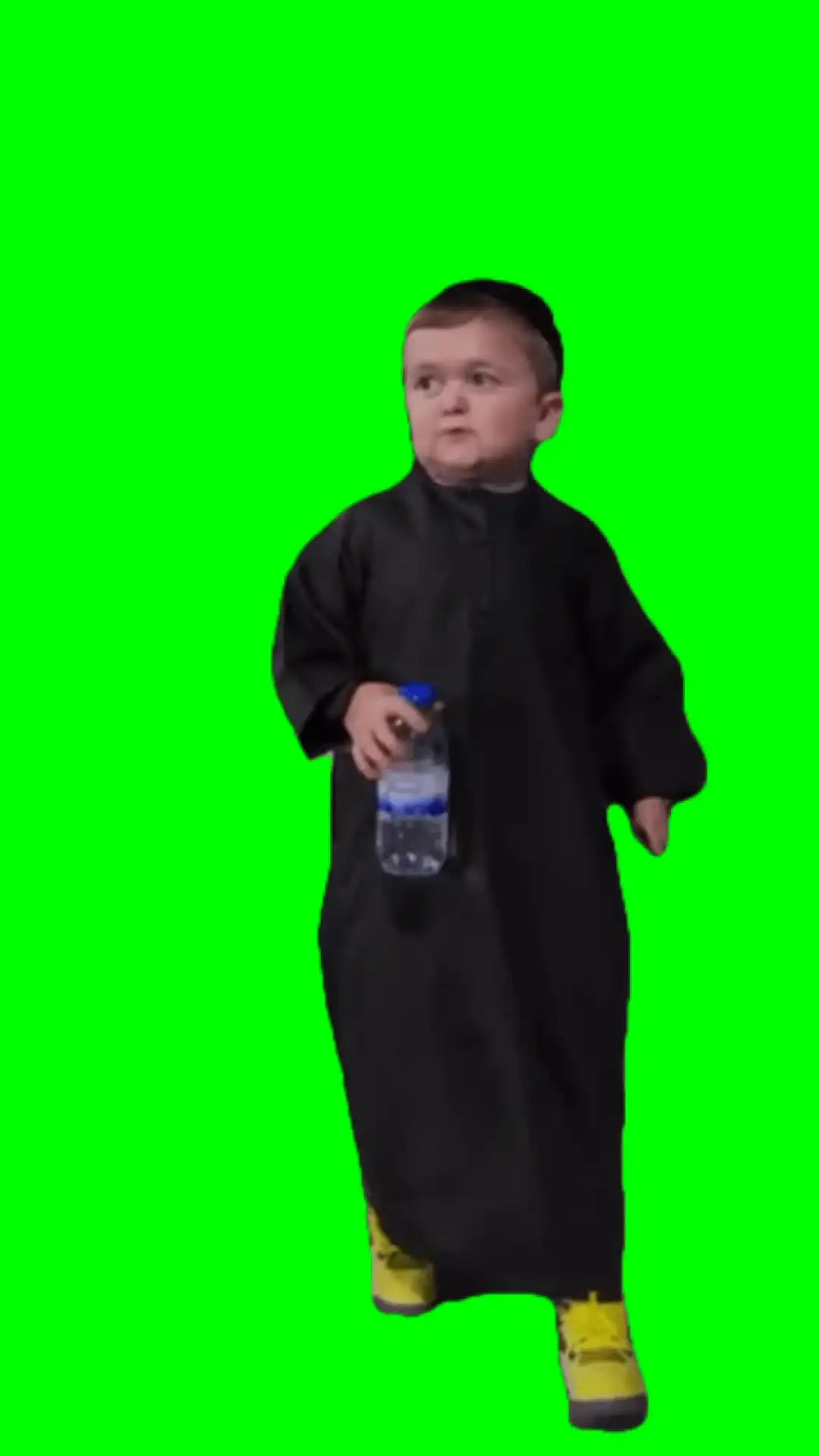 Hasbulla entrance Walk Meme green screen