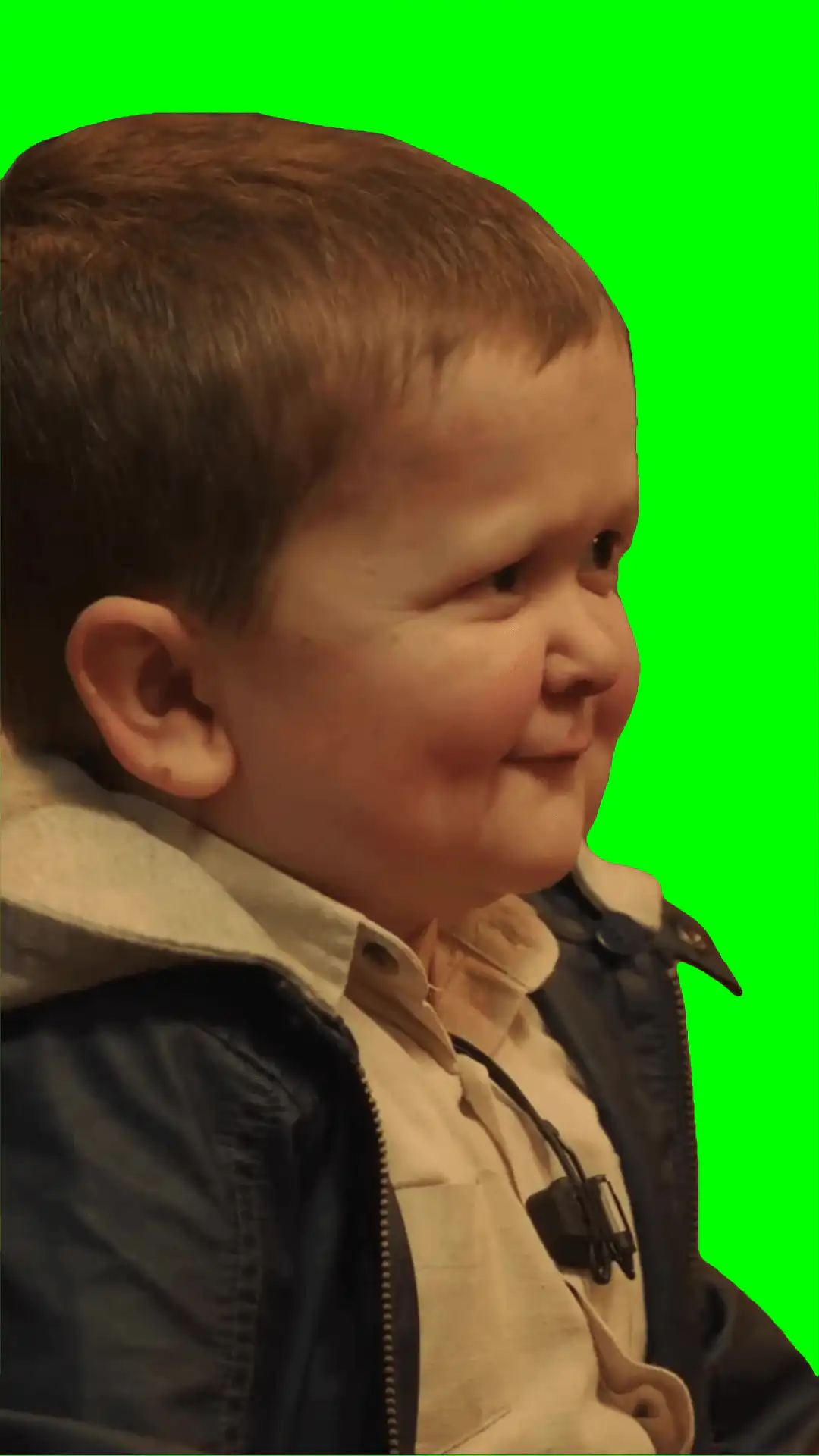 Hasbulla woof woof meme green screen