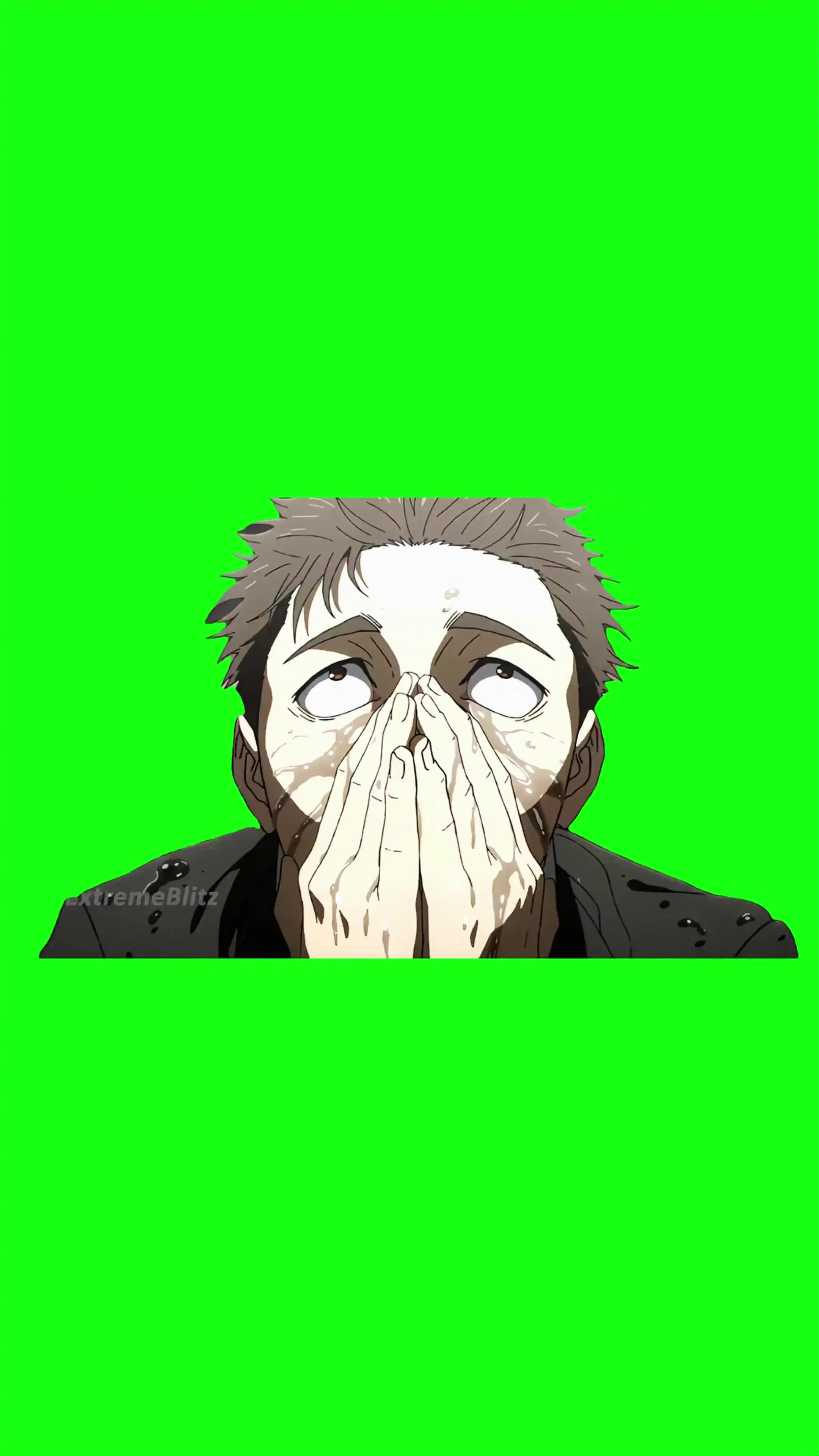 Higuruma stressed out Green Screen Meme
