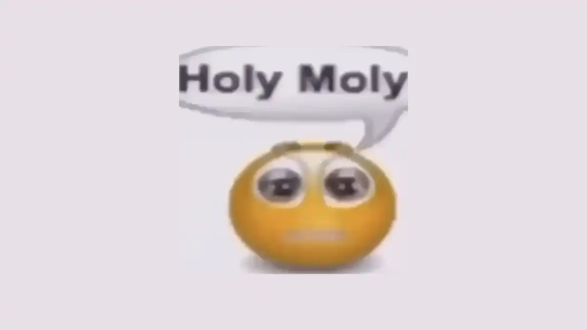 Holy moly meme