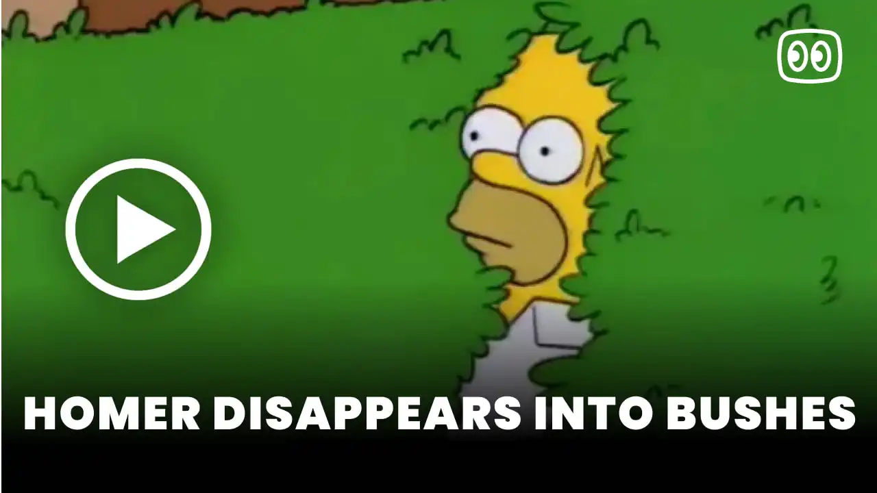 Homer disappears into bushes video