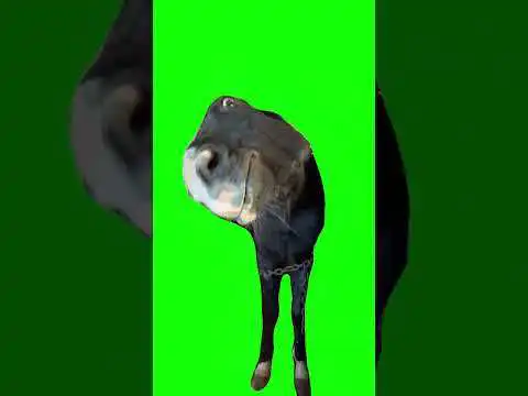 Horse Bombastic Side Eye Green Screen