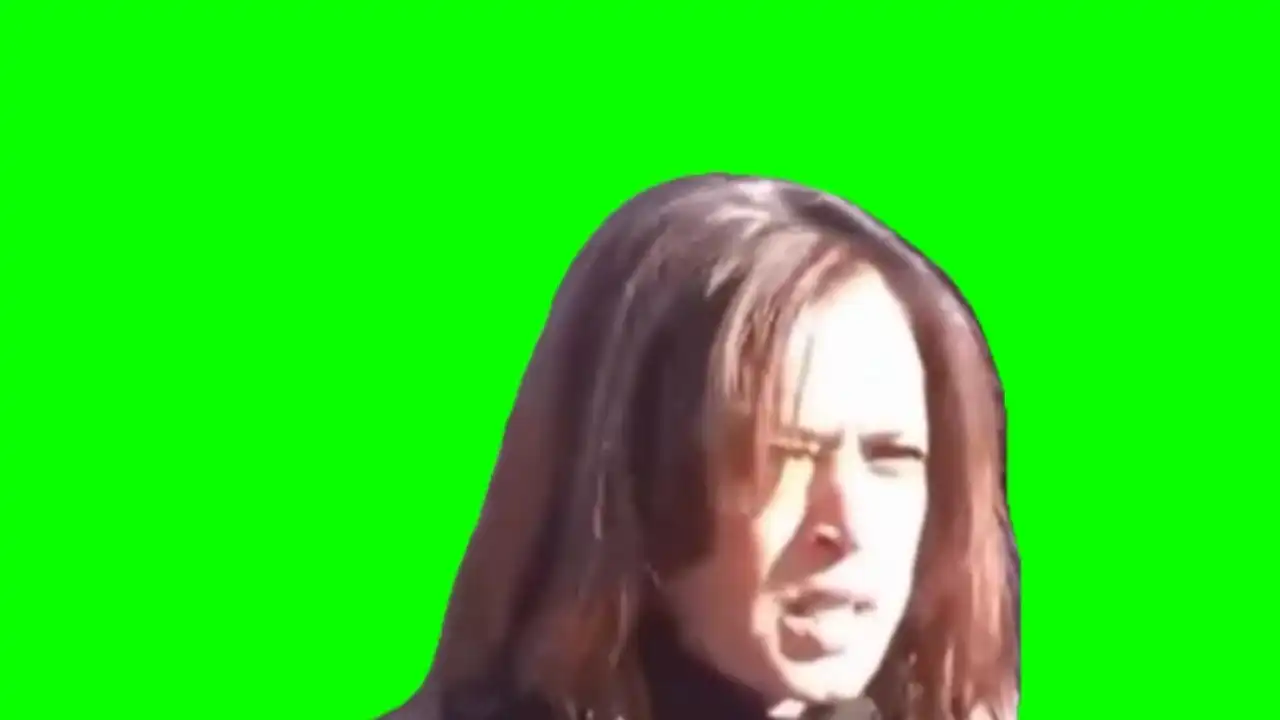 How dare we meme green screen