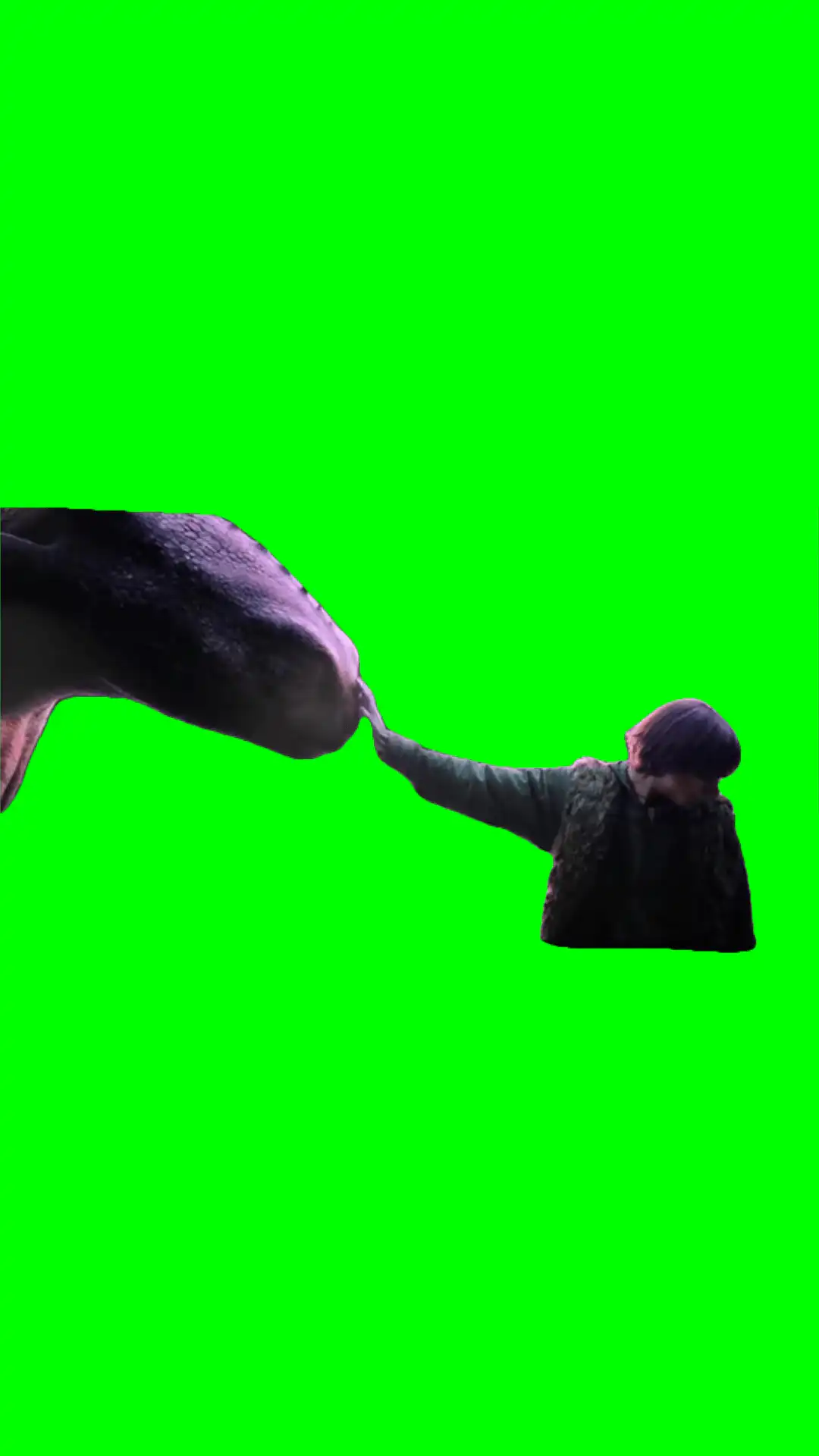 how to train your dragon live action meme green screen