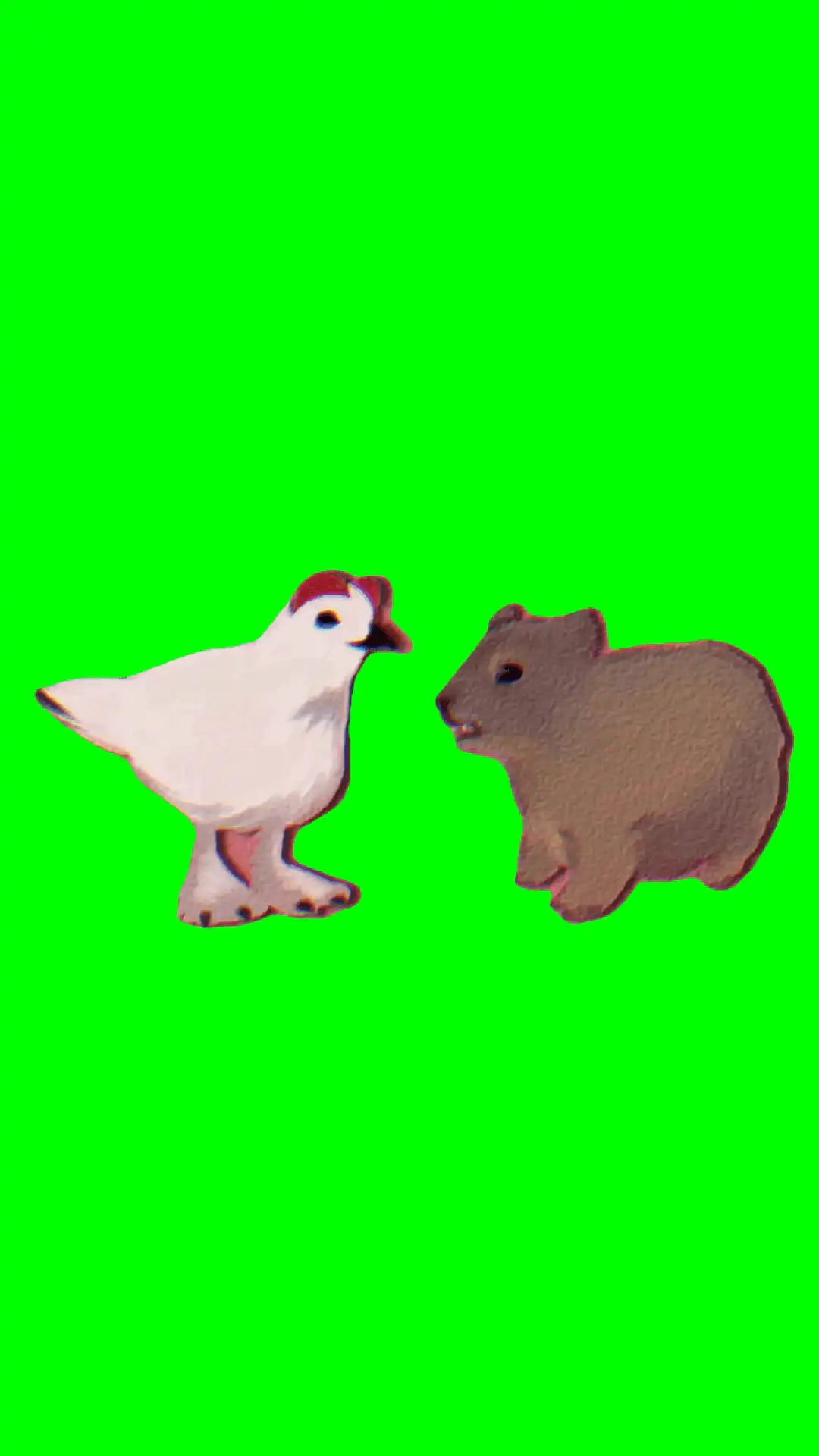 Hyrax and chicken talking meme green screen