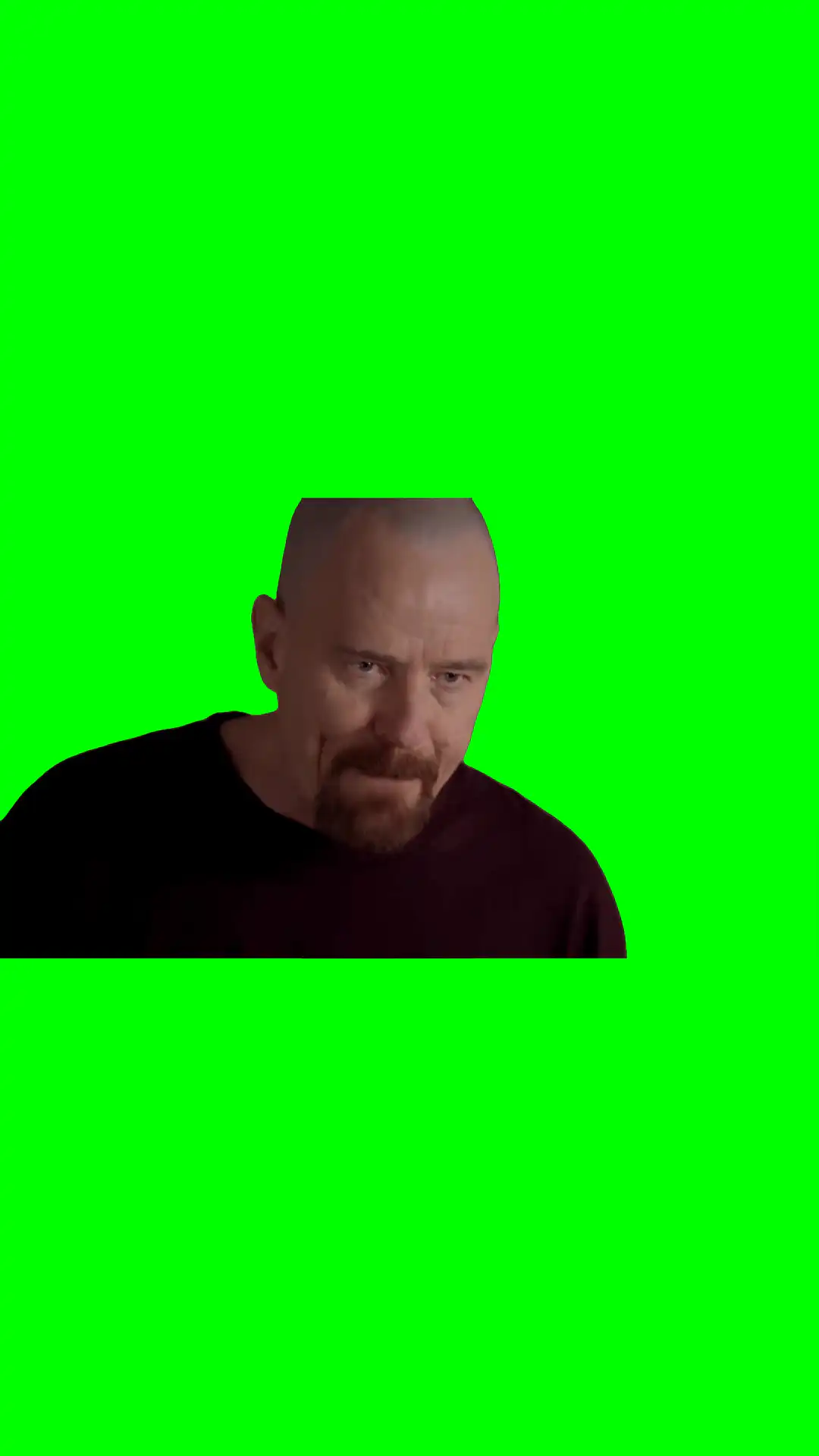 I am the one who KNOCKS! green screen