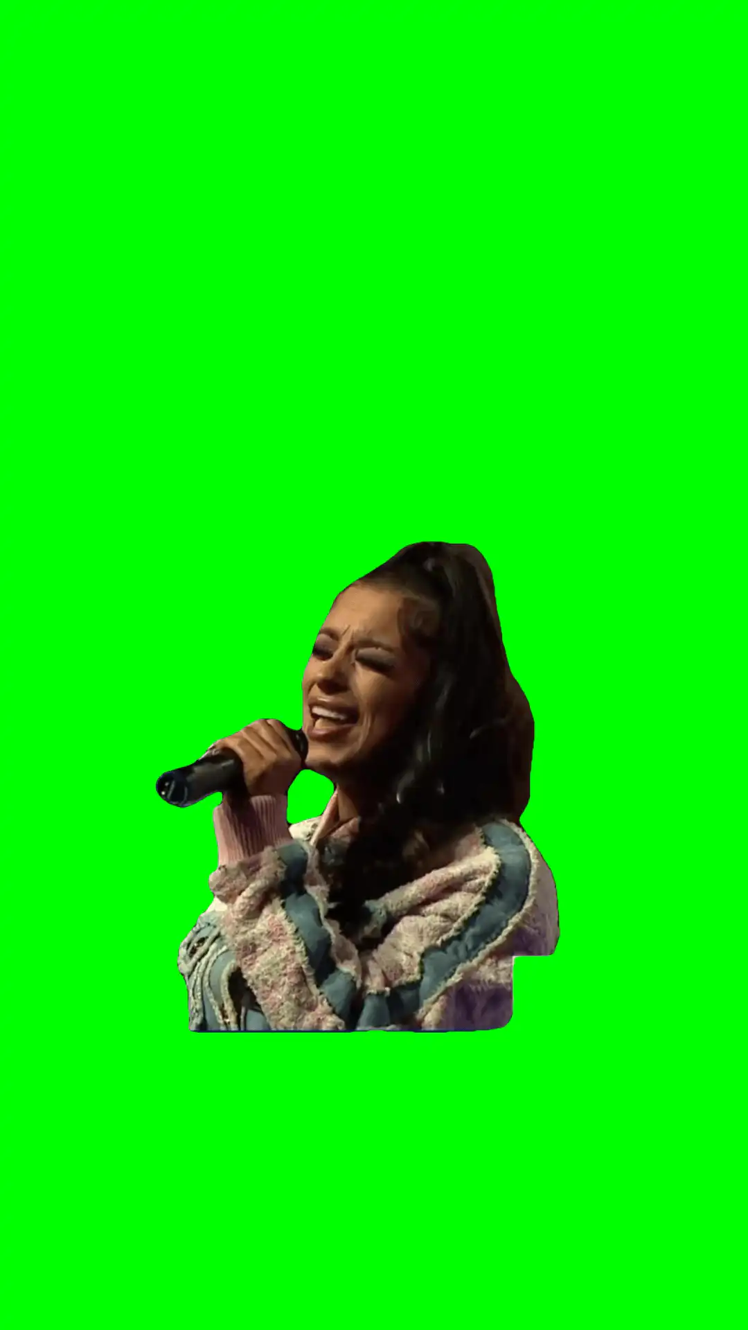 i fucked it up can i go back meme green screen