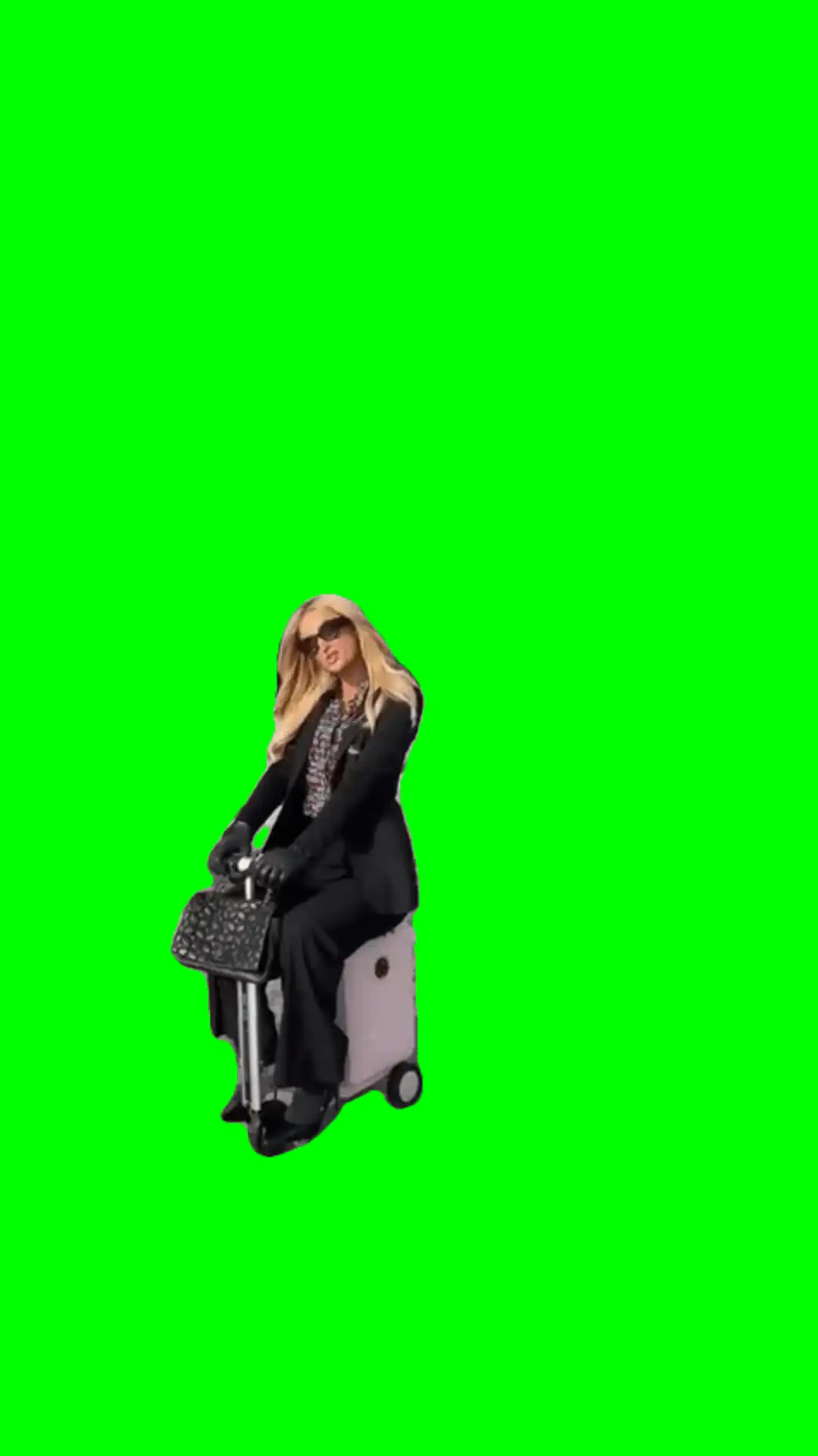 I like my suitcase meme green screen