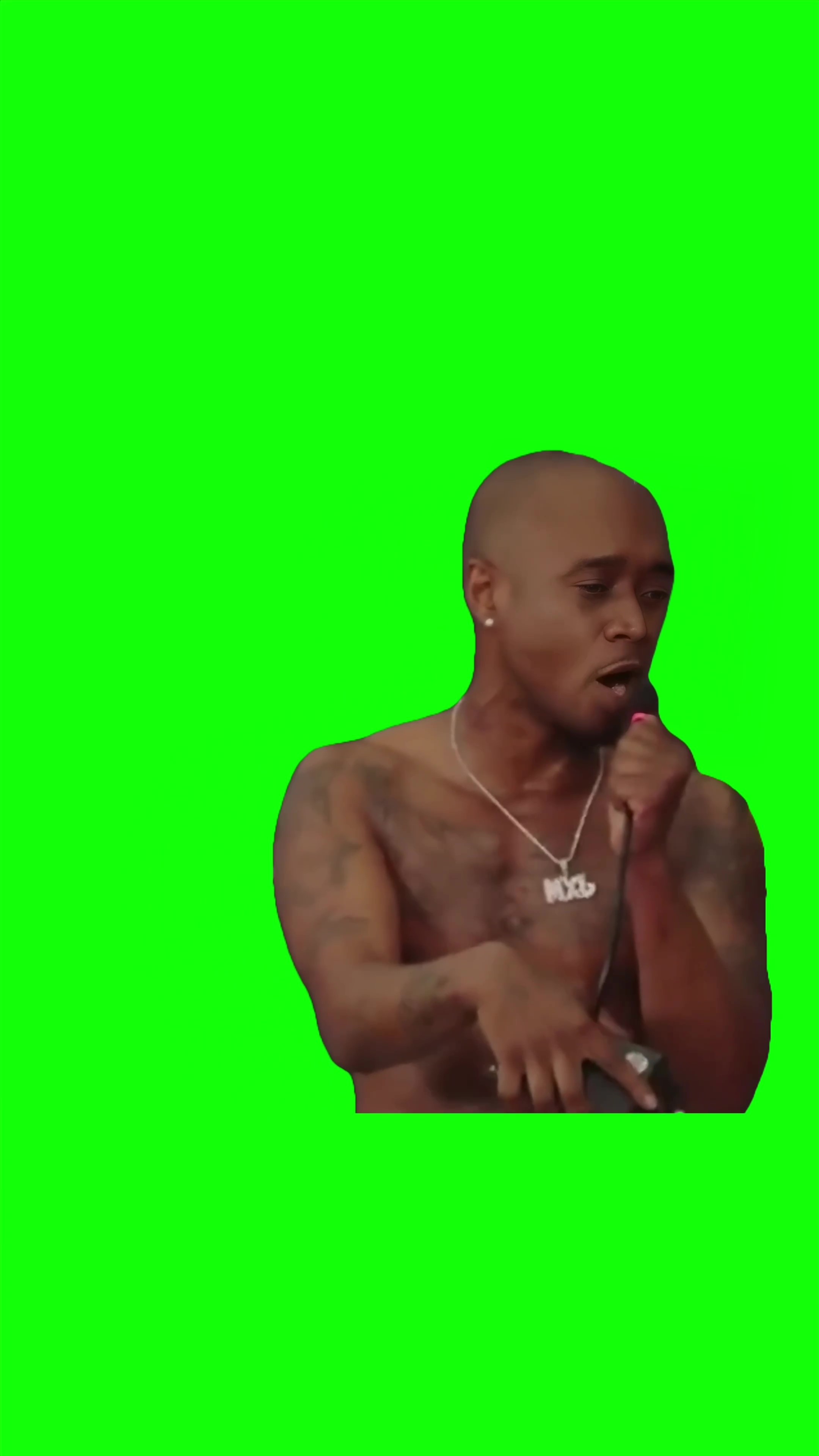 I like to kiss my bro meme green screen
