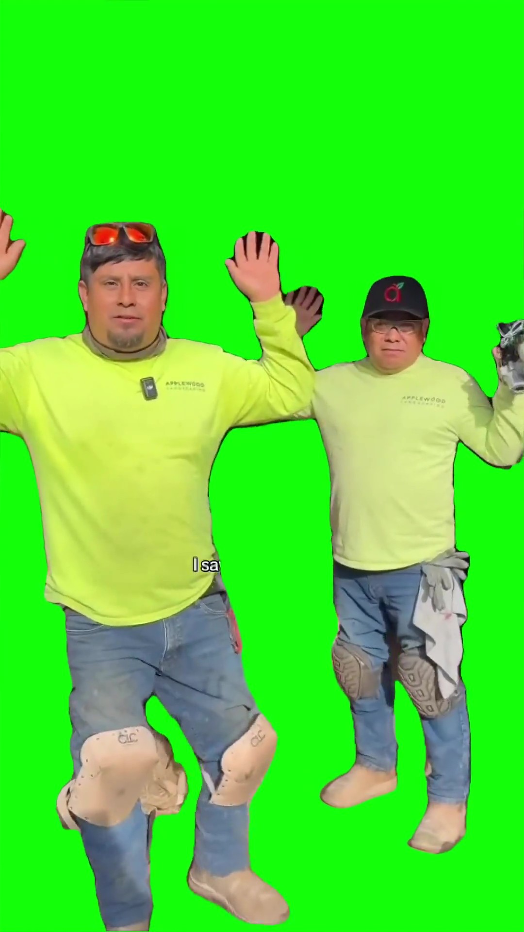 I say anything not my everything Green Screen Meme