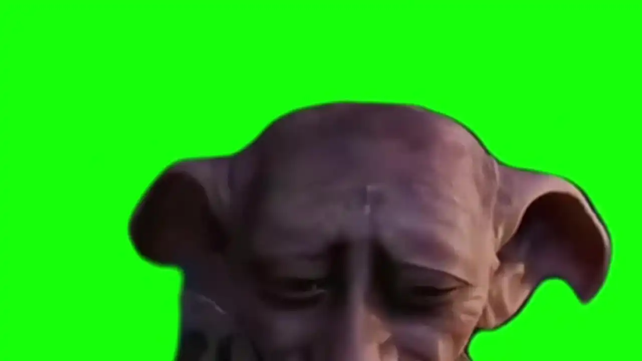 I shouldn’t have said that meme Green Screen