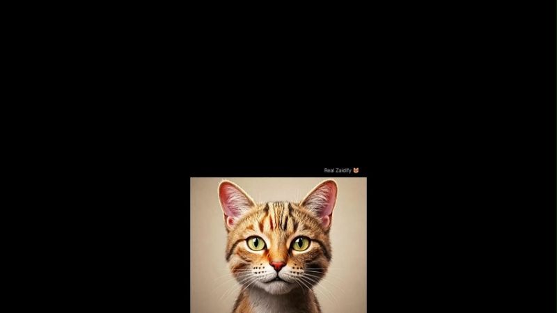 Instagram Viral Cat Popular Memes