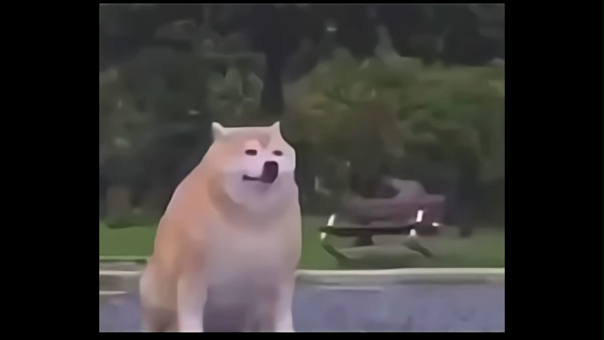 Instagram Viral Memes