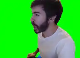 IT WAS A MISINPUT green screen