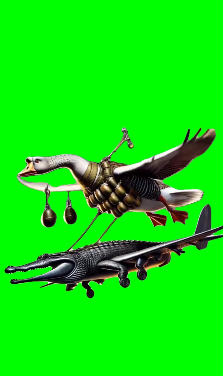 Italian brainrot Meme Green Screen