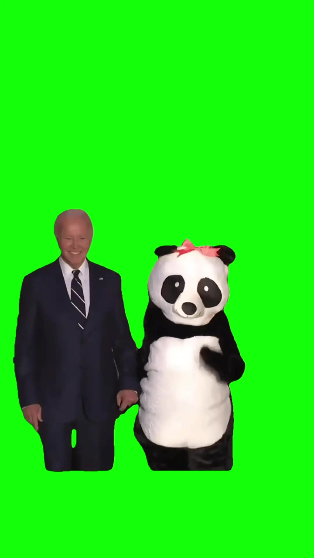 Joe Biden and Jill Dressed as Panda on Halloween Meme green screen
