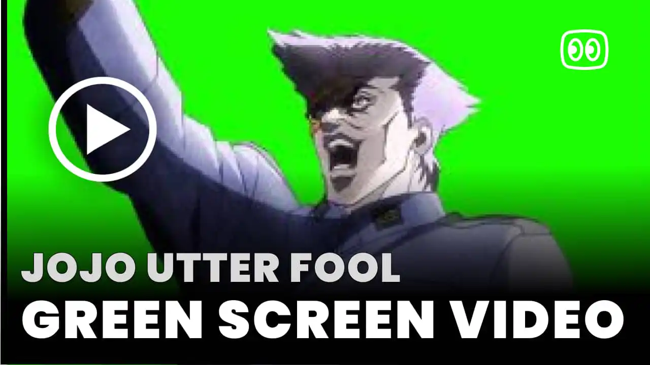 JoJo Utter fool Green Screen