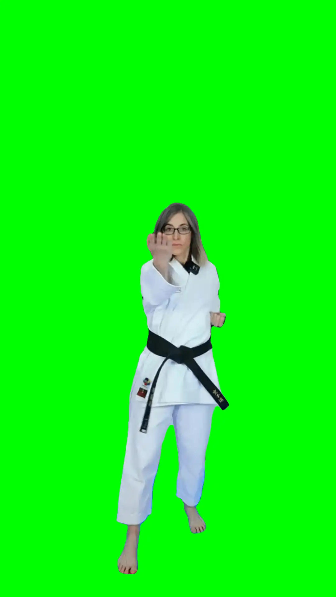 Karate Middle Finger Meme Green Screen